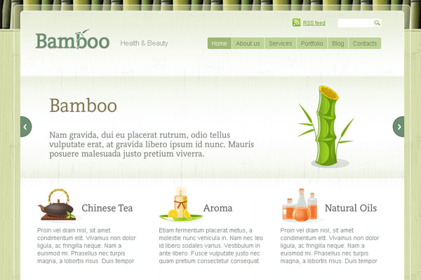 bamboo Bamboo WordPress theme by ThemeForest
