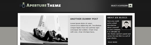 Aperture WordPress Theme
