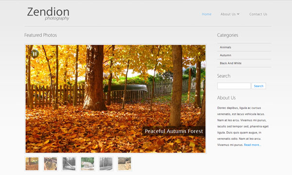 zendion-mojo Zendion Photography WordPress theme