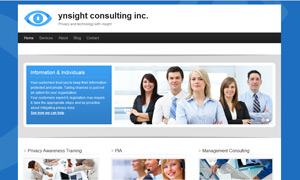 Ynsight Consulting